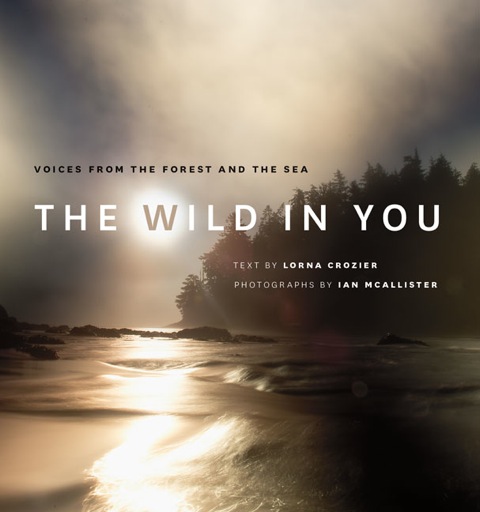 wild_in_you