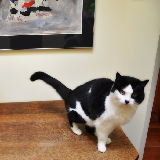 Because you can never have too many photos of Roxie.